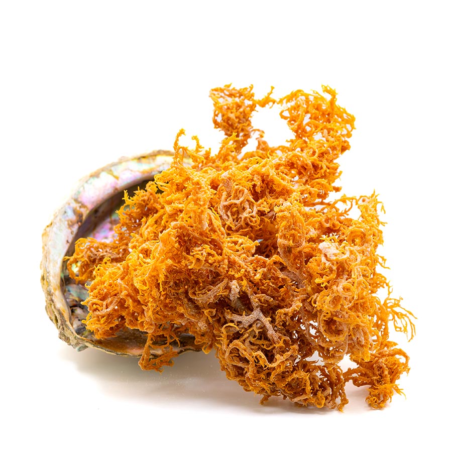 Raw Gold Sea Moss