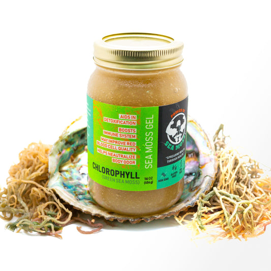 Chlorophyll Green Sea Moss Gel