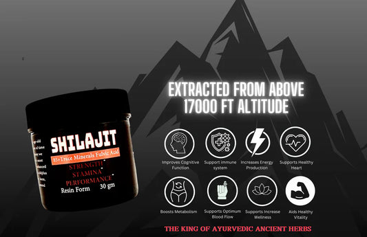 Resina de Shilajit
