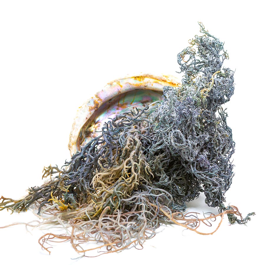 Raw Green Sea Moss